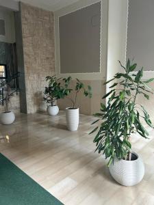 Vomero Experience Apartment