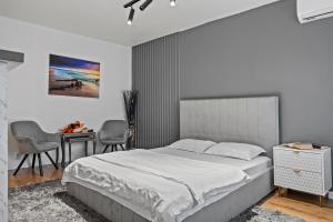 Garsoniera Regim Hotelier LUX Hanul Drumetului