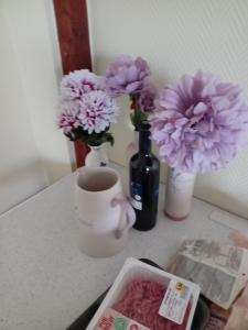 Sejours chez l'habitant My tenderness : photos des chambres