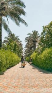 Waterfall Zoo Lodge Deluxe Suite 1