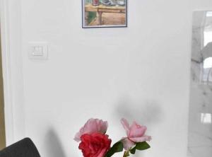 Charming Sinj Town Studio Apartments