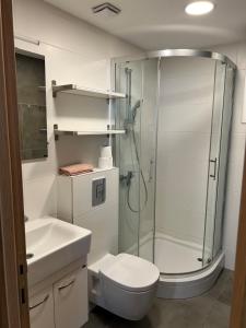 Zlatibor Relax & Spa Apartman