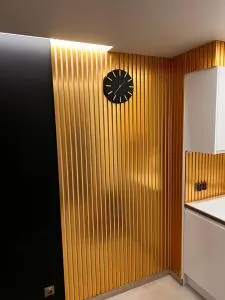 Goldowy Apartament Konin - 科宁