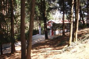 The Red House