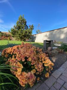B&B / Chambres d'hotes Relais du Dompeter : photos des chambres