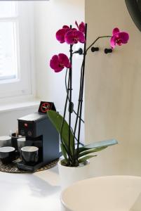 OIKO MINI SUITES