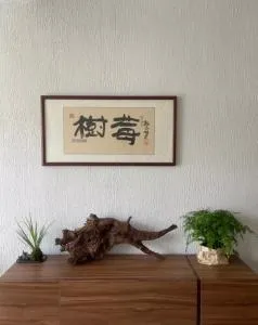 raspberry yard - Jiuyunlong