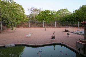 Rancho Império do Cajú