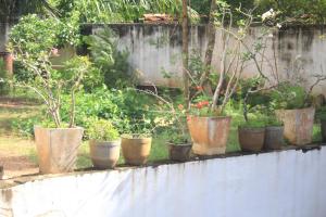 Chapa Guest House