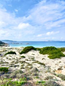 Freedhome Seaview Apartment img52