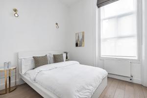 Lady on the Lane- 2 bed Primrose Hill