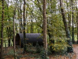 Ballybeg Pod 4