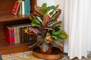 Clodia 5 by Rental in Rome