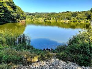 Rebeka Luxury Apartment