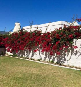 Langebaan 4 Bedroom Holiday Home