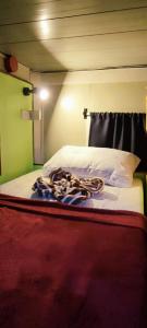 Eyy Hostel
