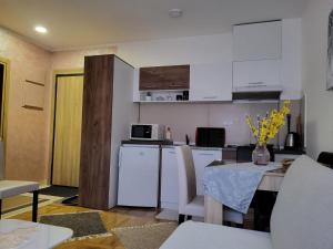 Apartman StaĆĄenka