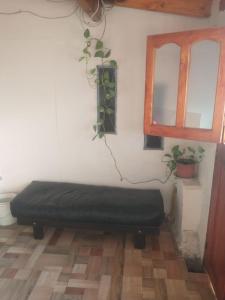 La casa de la abuela en San Rafael Mendoza