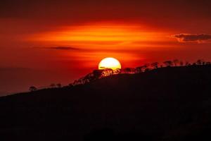 Orange Hills -Atenas-