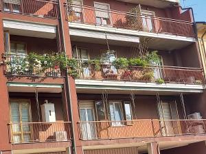 CASA DELLA ZIA ELSA