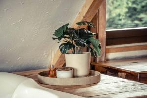 Nooks by AdyBeca - Forest Nook