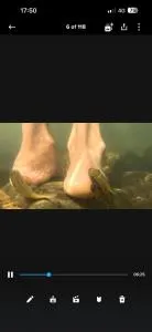 AVA home stay - Ittekanda