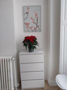 Appart'hotels ROYAL LUCHON : photos des chambres