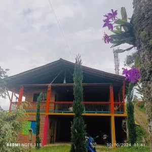 Hospedaje La Divisa - Barro Blanco