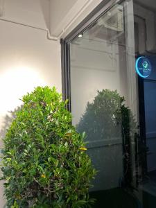 Sleep like a baby Hostel Pattaya