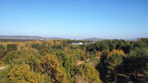 Leśny Apartament nad Zalewem VIP EDITION - basen w odległości około 100 m