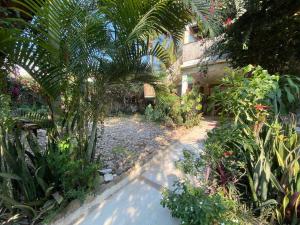 Casa Selva casa privada con alberca, en Punta