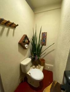 Casa Selva casa privada con alberca, en Punta