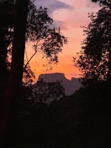 Refúgio dos Platanus