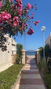 La Margarita Beach Apartment, Club Tropicana