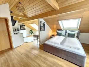 App Blies - 1 Zi - Uninähe - Sankt Ingbert