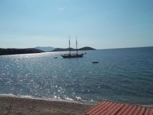 Azalea Skiathos Greece