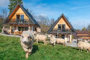 Domek pod Jaworem z balią - Oravice