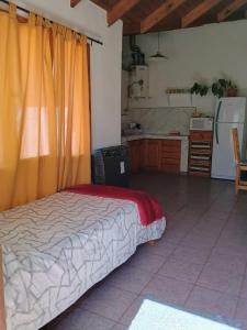 Cabaña Lacar