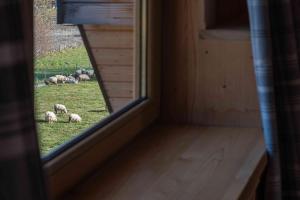 Domek pod Jaworem z balią