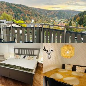 Ferienwohnung Panoramablick - super für deine Familie und die besten Aussicht in ganz Todtmoos