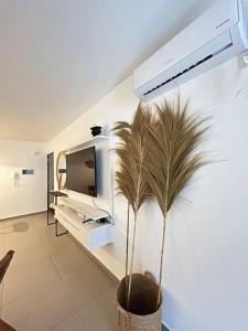 Viaggiato Jacinto Rios