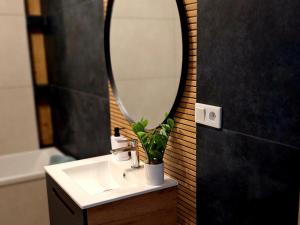 Apartament Grey Polana Szaflarska