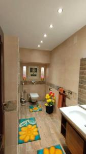 شقه بالمعادي مطله علي النيل موقع وفيو متميز