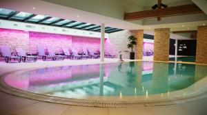 Appart'hotels Residence Les Cigogneaux : photos des chambres