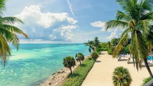 Windswept Palms by Last Key Realty