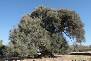 Monolocale Il Nido img37