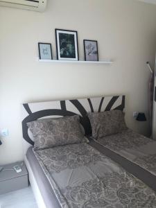 Apartment Alex Sveti Vlas