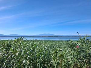 Campings Bungalow Cineric : photos des chambres