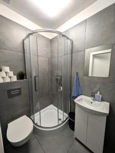 Baraczek Lotnisko Leszno