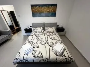 The One Malpensa Rooms - Оледжо